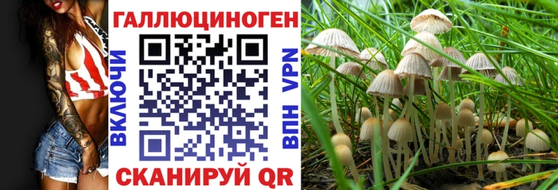 Псилоцибиновые грибы GOLDEN TEACHER Гдов